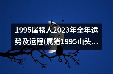 1995属猪人2023年全年运势及运程(属猪1995山头火命五行缺什么)