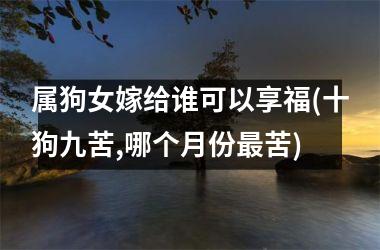 <h3>属狗女嫁给谁可以享福(十狗九苦,哪个月份最苦)