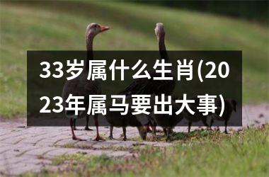<h3>33岁属什么生肖(2025年属马要出大事)