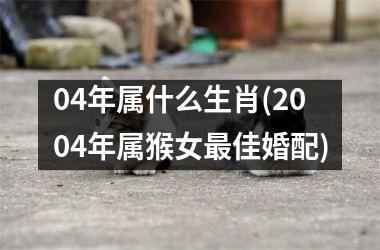 <h3>04年属什么生肖(2004年属猴女最佳婚配)