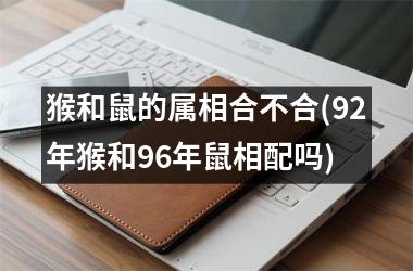 <h3>猴和鼠的属相合不合(92年猴和96年鼠相配吗)