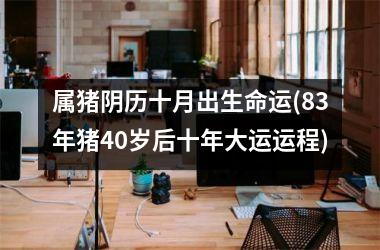 属猪阴历十月出生命运(83年猪40岁后十年大运运程)