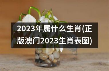 2023年属什么生肖(正版澳门2023生肖表图)