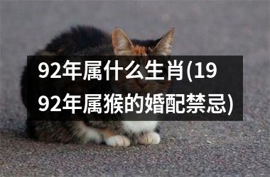 <h3>92年属什么生肖(1992年属猴的婚配禁忌)
