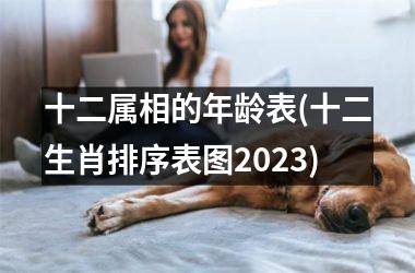 十二属相的年龄表(十二生肖排序表图2025)
