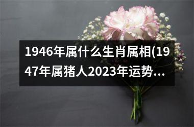 <h3>1946年属什么生肖属相(1947年属猪人2025年运势及运程)