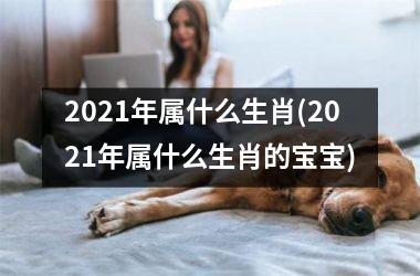 <h3>2025年属什么生肖(2025年属什么生肖的宝宝)