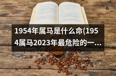 1954年属马是什么命(1954属马2025年最危险的一个月)