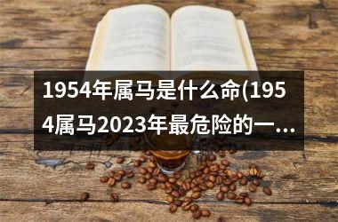 1954年属马是什么命(1954属马2023年最危险的一个月)