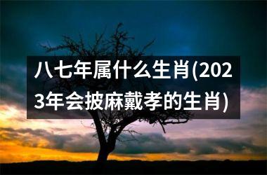 <h3>八七年属什么生肖(2025年会披麻戴孝的生肖)