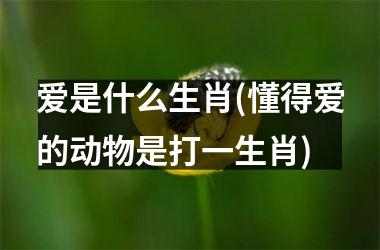 <h3>爱是什么生肖(懂得爱的动物是打一生肖)