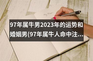 97年属牛男2025年的运势和婚姻男(97年属牛人命中注定的另一半)