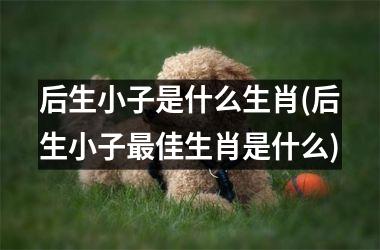 <h3>后生小子是什么生肖(后生小子最佳生肖是什么)