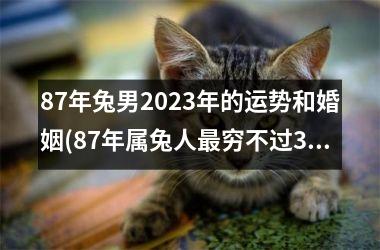 87年兔男2023年的运势和婚姻(87年属兔人最穷不过36岁)