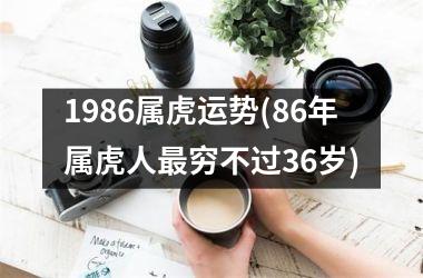 1986属虎运势(86年属虎人最穷不过36岁)