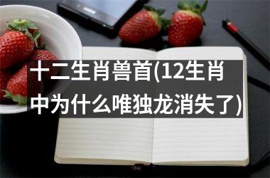 <h3>十二生肖兽首(12生肖中为什么唯独龙消失了)