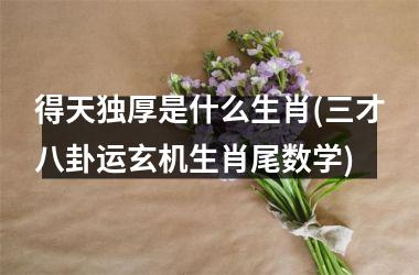 得天独厚是什么生肖(三才八卦运玄机生肖尾数学)