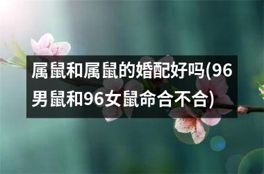 <h3>属鼠和属鼠的婚配好吗(96男鼠和96女鼠命合不合)