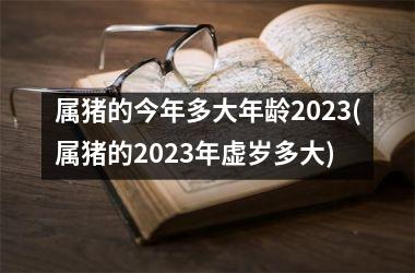 <h3>属猪的今年多大年龄2025(属猪的2025年虚岁多大)