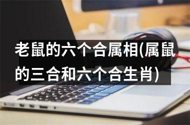 <h3>老鼠的六个合属相(属鼠的三合和六个合生肖)