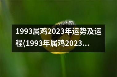 1993属鸡2023年运势及运程(1993年属鸡2023年运势及运程女性)