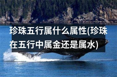 珍珠五行属什么属性(珍珠在五行中属金还是属水)