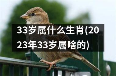 33岁属什么生肖(2023年33岁属啥的)