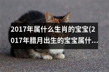 <h3>2017年属什么生肖的宝宝(2017年腊月出生的宝宝属什么)
