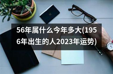 <h3>56年属什么今年多大(1956年出生的人2025年运势)
