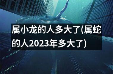 属小龙的人多大了(属蛇的人2023年多大了)