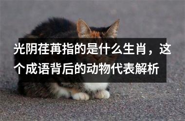 <h3>光阴荏苒指的是什么生肖，这个成语背后的动物代表解析