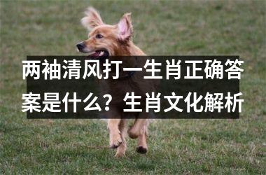 <h3>两袖清风打一生肖正确答案是什么？生肖文化解析