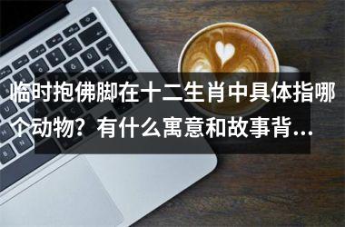 <h3>临时抱佛脚在十二生肖中具体指哪个动物？有什么寓意和故事背景？