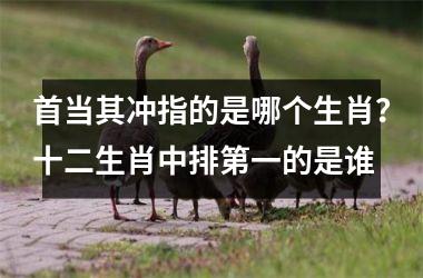 首当其冲指的是哪个生肖?十二生肖中排第一的是谁