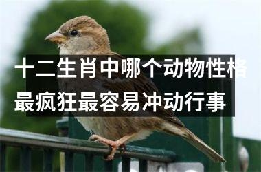 <h3>十二生肖中哪个动物性格最疯狂最容易冲动行事