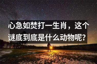 <h3>心急如焚打一生肖,这个谜底到底是什么动物呢?