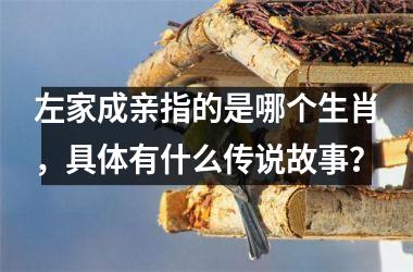 <h3>左家成亲指的是哪个生肖，具体有什么传说故事？