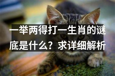 <h3>一举两得打一生肖的谜底是什么？求详细解析