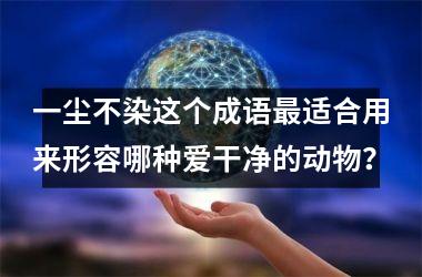 <h3>一尘不染这个成语最适合用来形容哪种爱干净的动物？