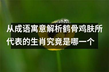 <h3>从成语寓意解析鹤骨鸡肤所代表的生肖究竟是哪一个