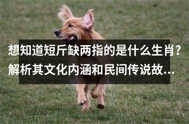 想知道短斤缺两指的是什么生肖？解析其文化内涵和民间传说故事