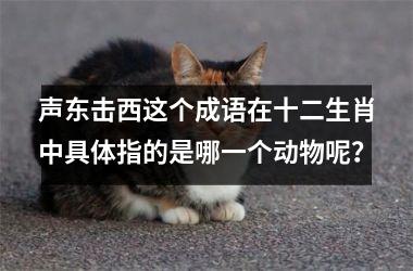 声东击西这个成语在十二生肖中具体指的是哪一个动物呢？