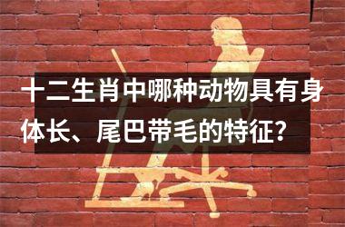 <h3>十二生肖中哪种动物具有身体长、尾巴带毛的特征？