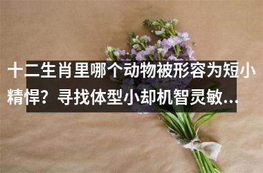 <h3>十二生肖里哪个动物被形容为短小精悍？寻找体型小却机智灵敏的生肖答案