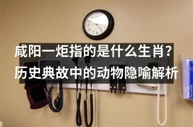 <h3>咸阳一炬指的是什么生肖？历史典故中的动物隐喻解析