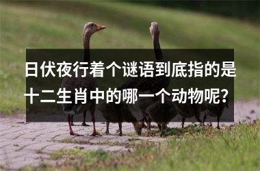 <h3>日伏夜行着个谜语到底指的是十二生肖中的哪一个动物呢?