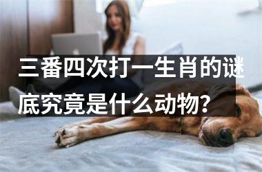 <h3>三番四次打一生肖的谜底究竟是什么动物？