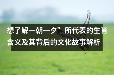 <h3>想了解一朝一夕”所代表的生肖含义及其背后的文化故事解析