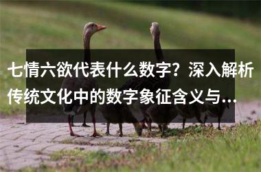 <h3>七情六欲代表什么数字？深入解析传统文化中的数字象征含义与应用