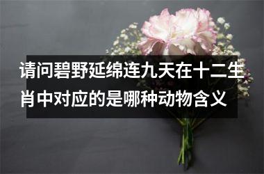 请问碧野延绵连九天在十二生肖中对应的是哪种动物含义